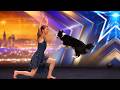 Simon S DREAM Dog Act Anastasiia Salsa Will Melt Your Heart BGT 2026