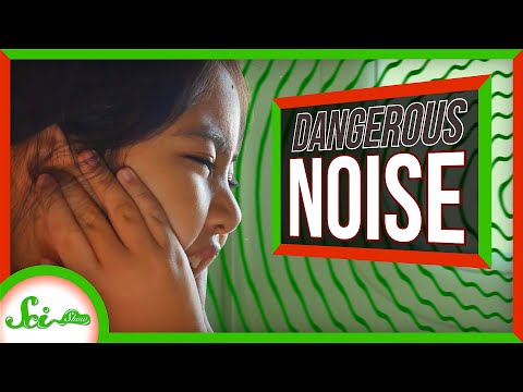 All This Noise Is KILLING Me!