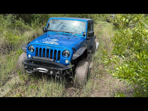 TrailMarco Takes on Richloam WMA | Florida’s Swamp Trails, River Crossings & Deep Mud Recovery