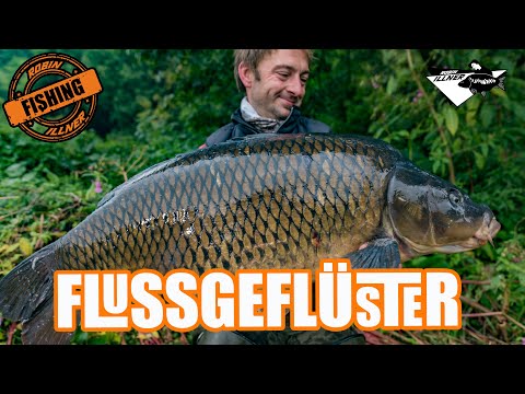 RIVER WHISPERS - Big carp from the river #carp #robinillner #fishing