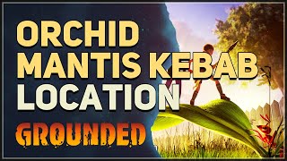 Orchid Mantis Kebab Location Grounded