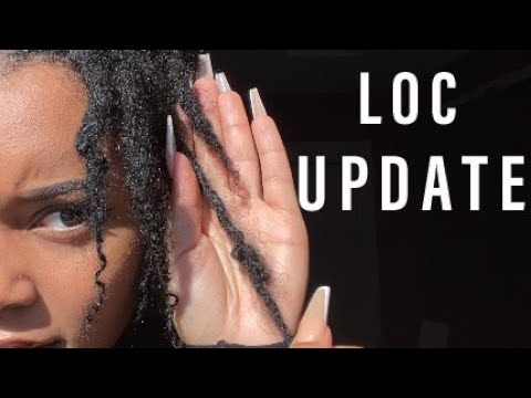 6 MONTH LOC UPDATE + CLOSE-UP | A REALISTIC LOOK AT LOCS