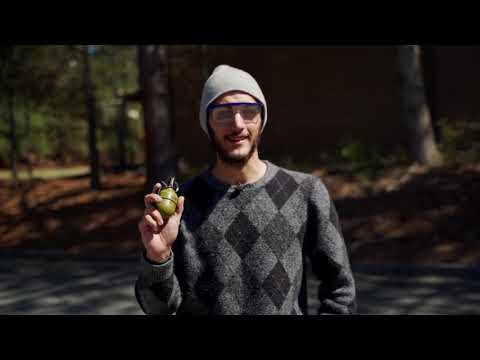 TAGinn 19Y review by Airsoftjunkiez