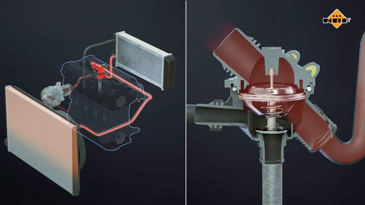 NRF THERMOSTATS - How it works? 3D animation about construction and functionality