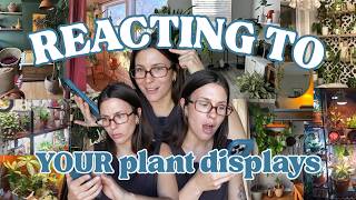 Reacting to YOUR plant collections! Episode 1