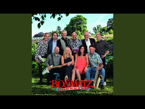 Den första sommaren