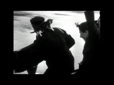 'C'Atalante' cat montage