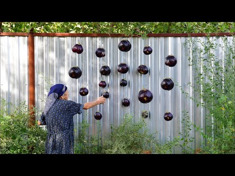 Winter Eggplant | Eggplant Recipe from Grandma