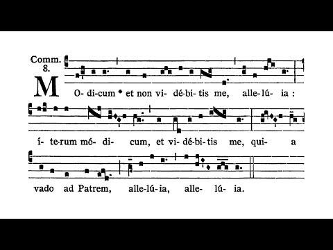 Dominica tertia post Pascha (Third Sunday after Easter) - Communio (Modicum)