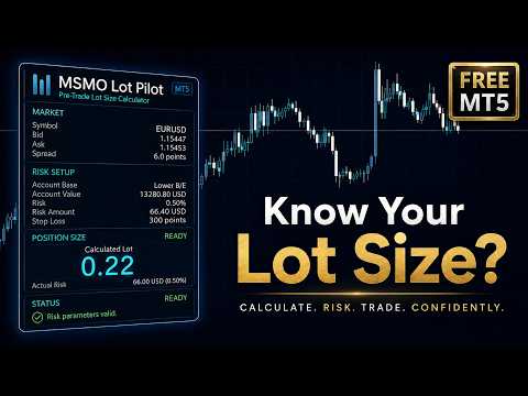 Video Msmo Lot Pilot