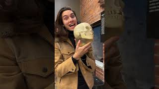 Download lagu Rarest pieces in the Bone museum mp3