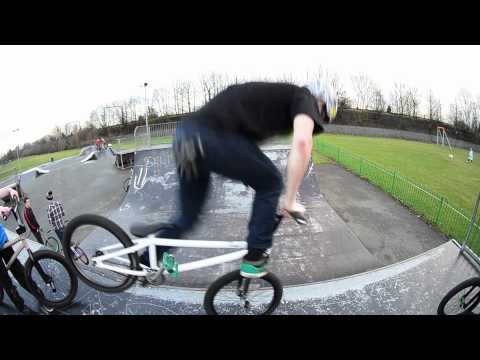 Are you a Loyal Soldier ?