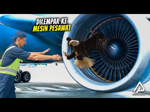 Sampai Dilempar Ke Mesin Pesawat! Ternyata Begini Mesin Pesawat Di uji Coba Sebelum Dipakai Terbang