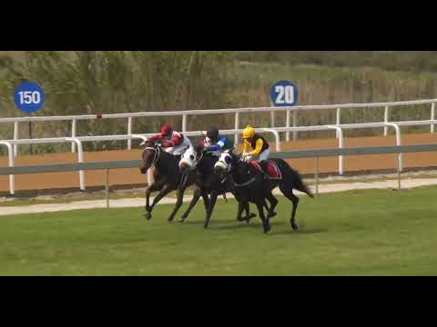 LEMME GO - race 2 #fairview 18 October 2022