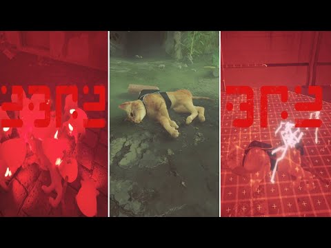 All Cat Death and Hurt [Stray Gameplay]