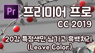 프리미어 프로 CC 2019 초보 강좌 #20  특정색만 남기고 흑백처리 (Leave Color)