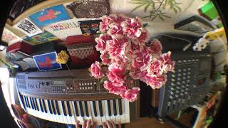 Video thumbnail for Casiotone 501 improvisation using Tascam Portastudio 424mkII. by Bernabe