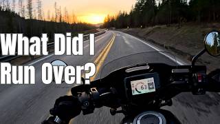 I'M Chasing SUNSET Dreams on MY FIRST Motovlog