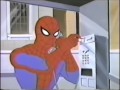 Spider Man Meets Superman