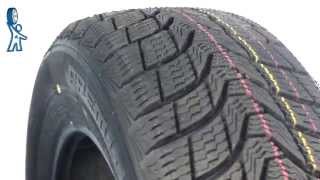 Premiorri Viamaggiore 215/55 R16 93T