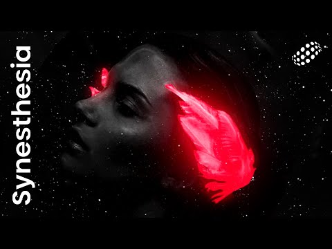 Kamska - Now U Gone feat. Adash (Official Audio) Synesthesia 2.5