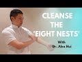 Tapping The Eight Nests Simple Way To Get Rid Of Toxins