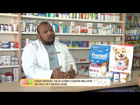 Cães idosos: Veja como cuidar melhor do seu pet nessa fase 12 09 2022