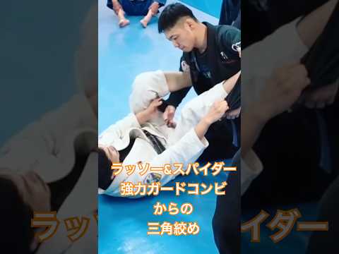 ラッソー&スパイダーの強力ガードコンビからの三角絞め　#jiujitsu