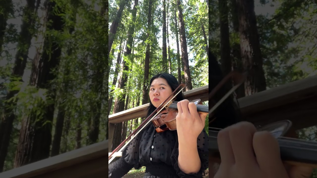 Promotional video thumbnail 1 for Classical violin and pop performances