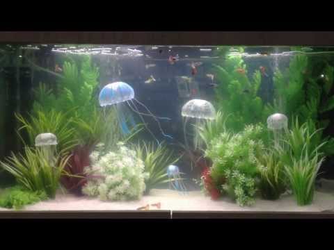 download lagu mp3 mp4 Meduza 6 Aquarium, download lagu Meduza 6 Aquarium gratis, unduh video klip Meduza 6 Aquarium