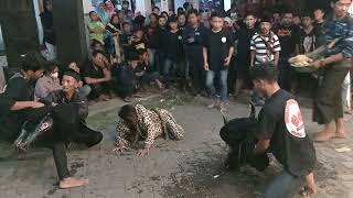 Download lagu Bantengan -Arjuna Budoyo Live Jedong ,Ngoro - Mojokerto 13 Juli 2022 mp3