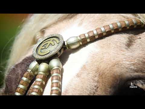 Lote 09 UBALDINA DO RECANTO CRIOULO