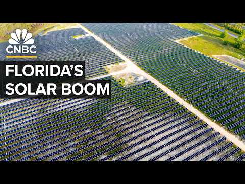 How Florida Became a Solar Powerhouse and What Could Slow It Down