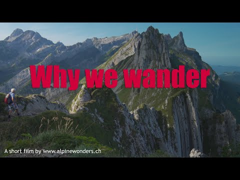 Why we wander