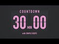 30 Minutes Countdown Flip Clock Timer / Simple Beeps 💕🖤