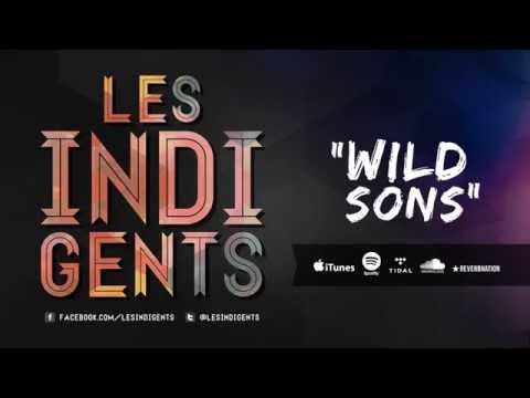 Les Indigents - Wild Sons (Audio)