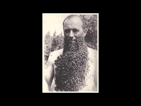 P.Donut - "Fake shoes True lyrics"