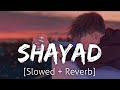 Shayad Slowed Reverb Arijit Singh Lofi Revibe