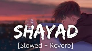 Shayad Slowed+Reverb  Arijit Singh  Lofi  Revibe