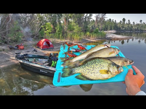 3 Days Camping, Fishing, and Eating What I Catch on Remote Canadian Island