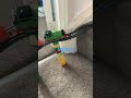Percy Takes The Plunge