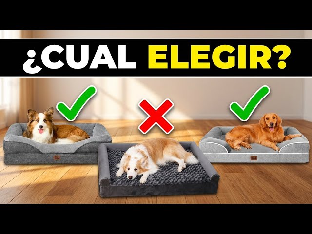 Vídeo relacionado con BingoPaw Cama para Perros Medianos 76x51x10cm, Cama Perro Lavable Colchón para Perro Impermeable Funda Peluda Removible y Base Antideslizante para Perros Medianos, Beige
