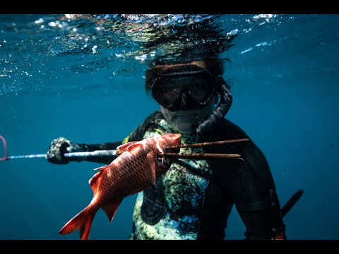 Video: A Guide to Spearfishing with Kimi Werner | MeatEater Fishing
