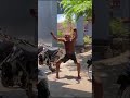 Mentahan Orang Gila Joget