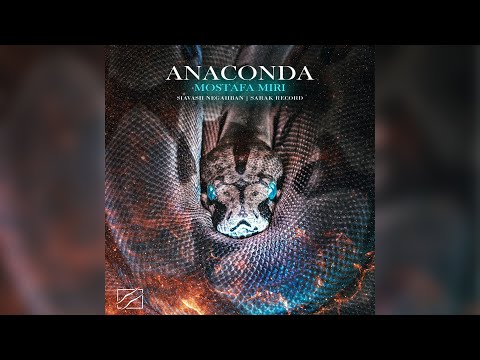Mostafa Miri - Anaconda | مصطفی میری - آناکوندا