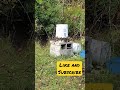 Feeded bees suger water | 5 gallon bucket
