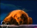 Muppets Tonight The Lion Sleeps Tonight