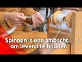 Spinnewiel in Eindhoven nog lang niet uitgestorven