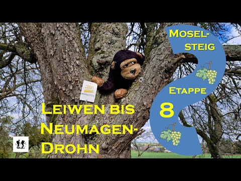 #Moselsteig, Etappe 8: Von Leiwen nach Neumagen-Drohn