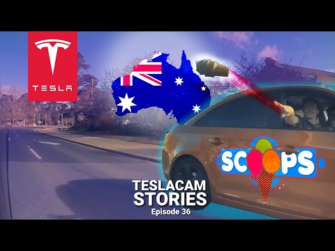 TESLA ATTACKED | TESLACAM STORIES #36